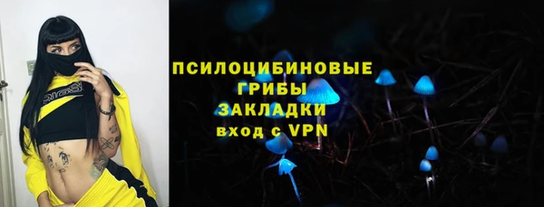 тгк Белокуриха